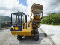 Concrete mixer Fiori DB250S